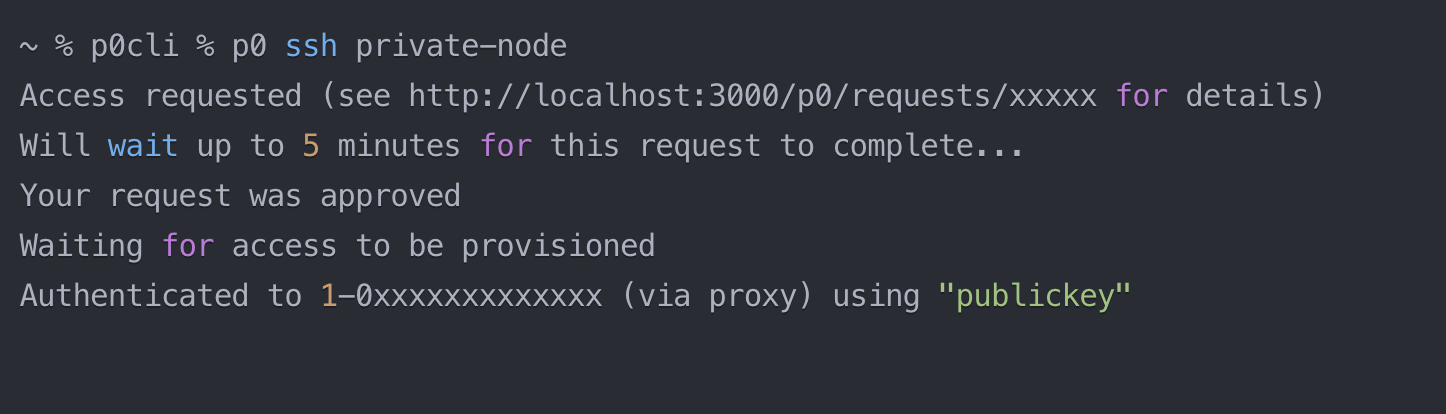 Terminal command for private node