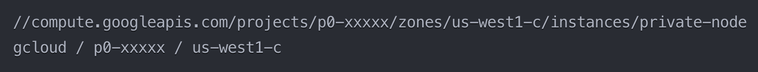 Terminal command GCP private node